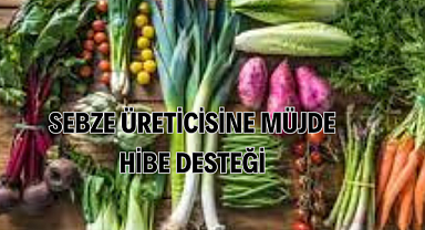 Sebze Üreticilerini Sevindiren Hibe