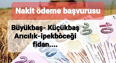 Tarım ve hayvancılıkta nakit para ödemesi için başvurular sürüyor
