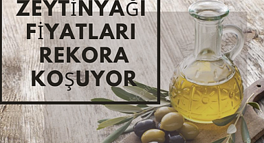 Güncel Zeytinyağı Fiyatları paylaşıldı..