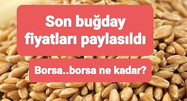 Borsalara göre buğday fiyatları paylaşıldı