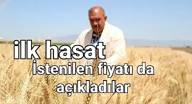 Buğday ve hububatta Önce hasat sonra fiyat
