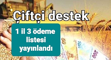 Çiftçi Destek ödemelerinde listeler ard arda yayınlandı