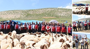 Çiftçilere hibe küçükbaş hayvan