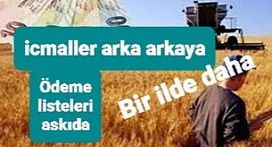Çiftçilere para getirecek icmal listeleri bir ilde daha yayınlandı