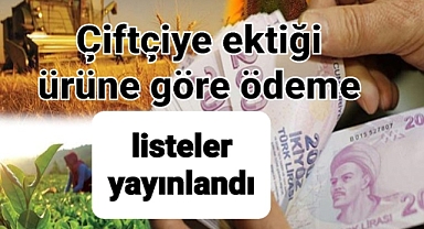 Çiftçinin ektiği ürünle ilgili alacağı ödeme açıklandı