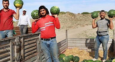 Karpuz hasadı gecikmişti ama sonu tatlı oldu