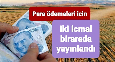 Para ödemeleri çiftçilerin tarlasındaki ürüne göre yapılacak