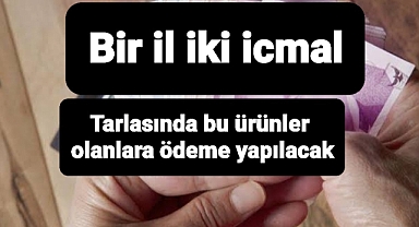 Tarlanızda bu ürünler varsa ödeme listelerini kontrol edin