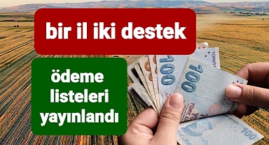 Tarlasında iyi tarım ve organik tarım yapanlara ödeme var