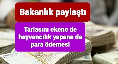 Tarlasını ekene de hayvanı olana da para ödemesi yapıldı