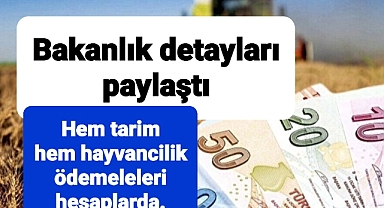 Çiftçilere destek yağdı Tarım yapanlara hayvancılık yapanlara paraları yatırıldı