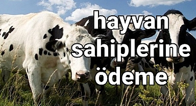 Hayvan sahipleri ahırlarında bu hayvanlara sahip oldukları için şanslı