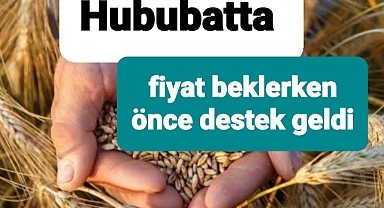 Hububatta fiyat beklenirken önce destek geldi