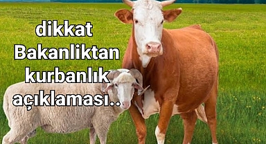 Kurbanlık alırken küpesine pasaportuna bakın ve..