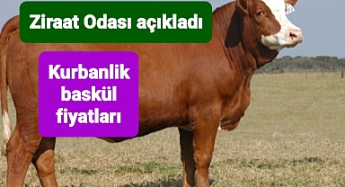 Kurbanlıklar ağırlıklarına göre fiyatlandırılırken son açıklamada fiyat paylaşıldı