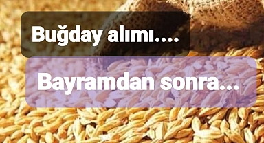 Hububatlar tarlada kalmayacak alım fiyatı üzerinden hepsi alınacak