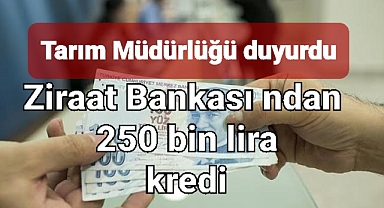 Köyüne dönene nakit kredi