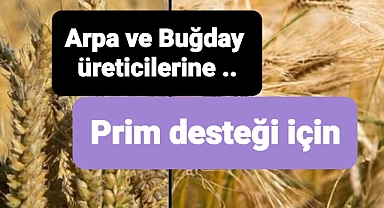 Arpa ve buğday üreticilerine duyuru yapıldı..