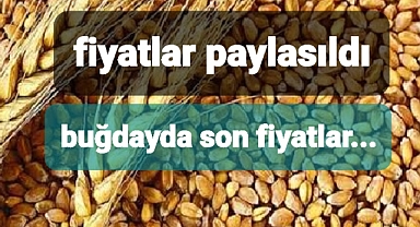 Buğday fiyatlarında çiftçiler bunu beklemiyordu.