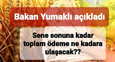 Çiftçilere sene sonuna kadar ödenecek 2023 yılı için toplam tutar açıklandı
