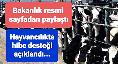 Hayvancılık projelerine dev destek