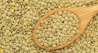 Nohut ve mercimek tohumu almak isteyenlere duyuru yapıldı