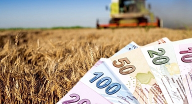 Çiftçilere Hangi ürüne ne kadar ödeme yapılacak?