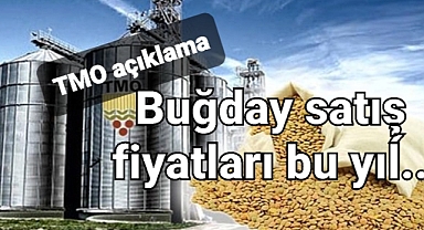 TMO buğdayı kaça satacak?