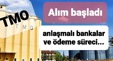 TMO'dan çiftçilere duyuru: Alım başlıyor ödeme süreci ve anlaşmalı bankalar hangileri?