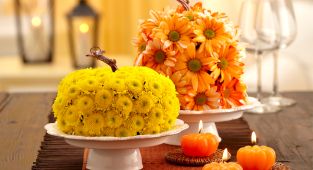 What is a filler flower? What blue flowers are available in May?Bewitching DIY Fall Floral Displays — Florists Share Fast, Festive Ideas for Halloween and More!