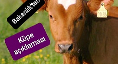 SIĞIR CİNSİ VE KÜÇÜKBAŞ HAYVANLARIN TANIMLANMASINA İLİŞKİN ESASLAR DÜZENLENDİ