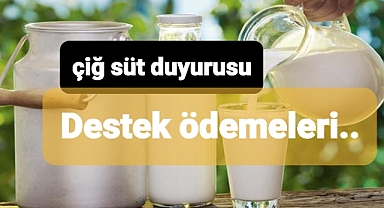 Çiğ süt desteğinde ödeme süreci yaklaşıyor
