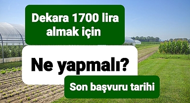 Dekara 1700 lira almak için ne yapmalı?