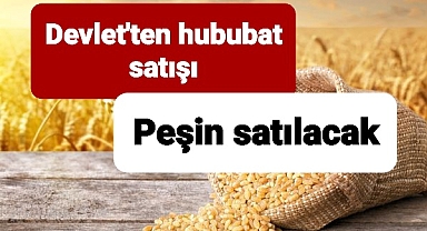 Devletten hububat satışı