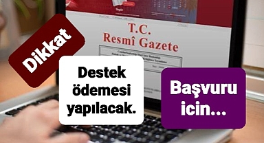 Duyduk duymadık demeyin destek almak için başvurular başladı