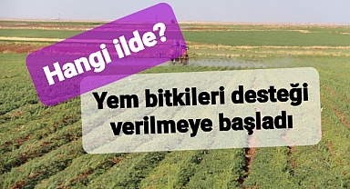 Hangi ilde yem bitkisi tohumu dağıtılıyor?