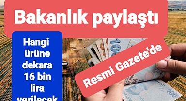 Hangi üreticilere dekar başına 16 bin lira ödenecek?
