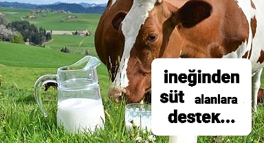 ineğinden süt alan üreticiye para desteği yapılacak