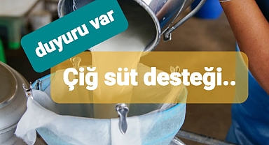 İneğinden süt alanlara müjdeli haber geldi