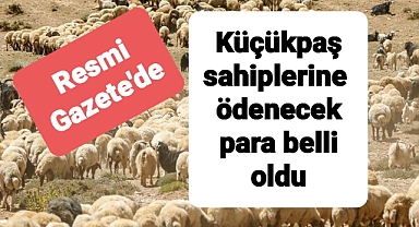 Küçükbaş hayvan sahiplerine yapılacak para ödemesi belli oldu