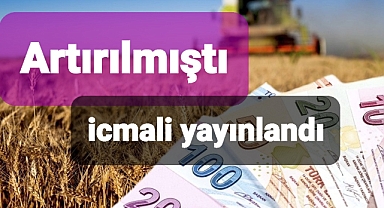Sertifikalı Tohum Kullanımı destek ödemesi yolda..