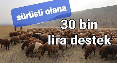 Sürüsü olanlara 30 bin lira ödenecek