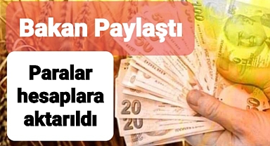 Tarım Bakanı açıkladı paralar hesaplara aktarıldı
