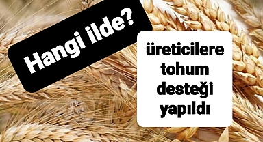 Üreticiler bu destekle buğday üretimini artıracak.