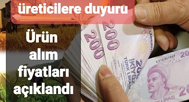 Üreticilerin beklediği alım fiyatı açıklandı