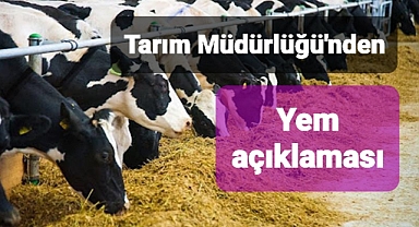 Yem denetimleri devam ediyor