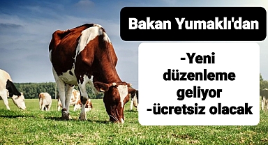 Yumaklı: küpesiz hayvan sorununu çözüyoruz