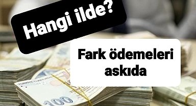 ZEYTİNYAĞI ÜRETİCİLERİNE MÜJDELİ HABER GELDİ