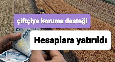 Tarladaki ürünler zarar görmesin diye çiftçiye destek ödemesi yapıldı