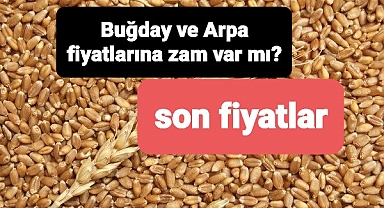 Arpa ve buğday fiyatlarına zam var mı son fiyatlar paylaşıldı..
